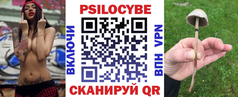 Галлюциногенные грибы Psilocybe  Грозный 